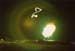 bruckner020